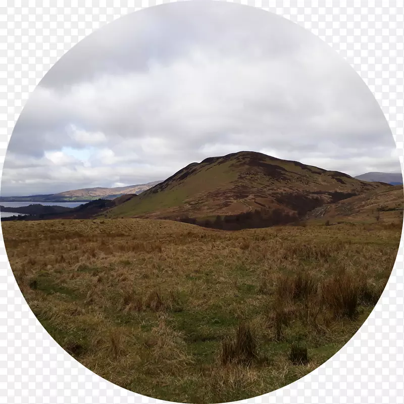 �����ʼ�Ӫ��2015`С����ҵ-Ӫ��-������