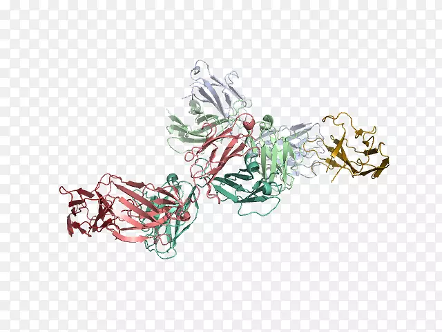 ʥ����װ��Ʒ�����鱦ʥ��������-����-������