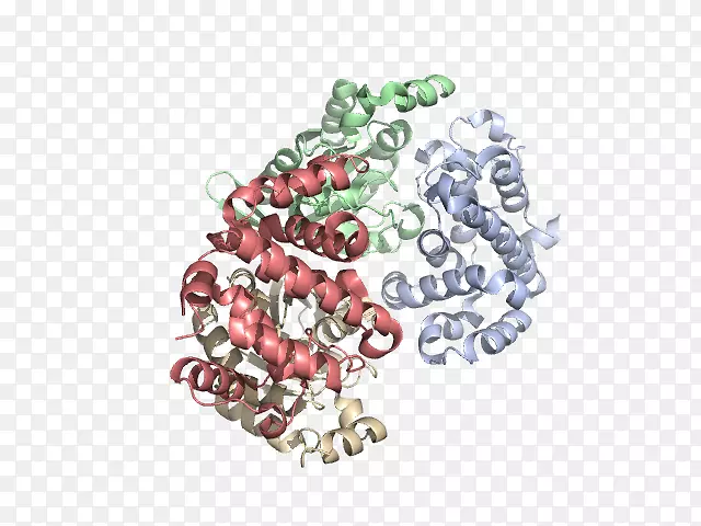 �����鱦����-����-������