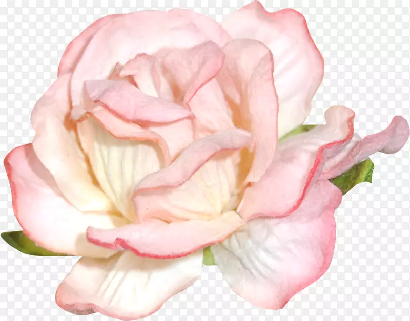 ��԰õ�岩�ͻ�����Ƽ�����-������