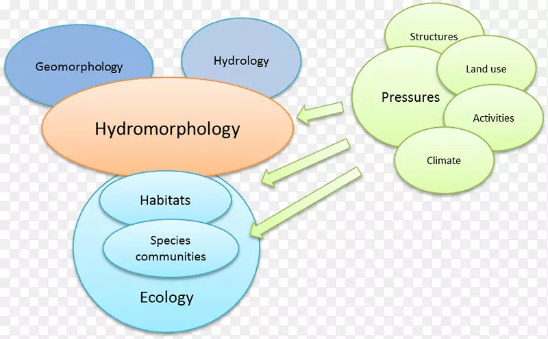 Ʒ�Ʋ���ˮ-������