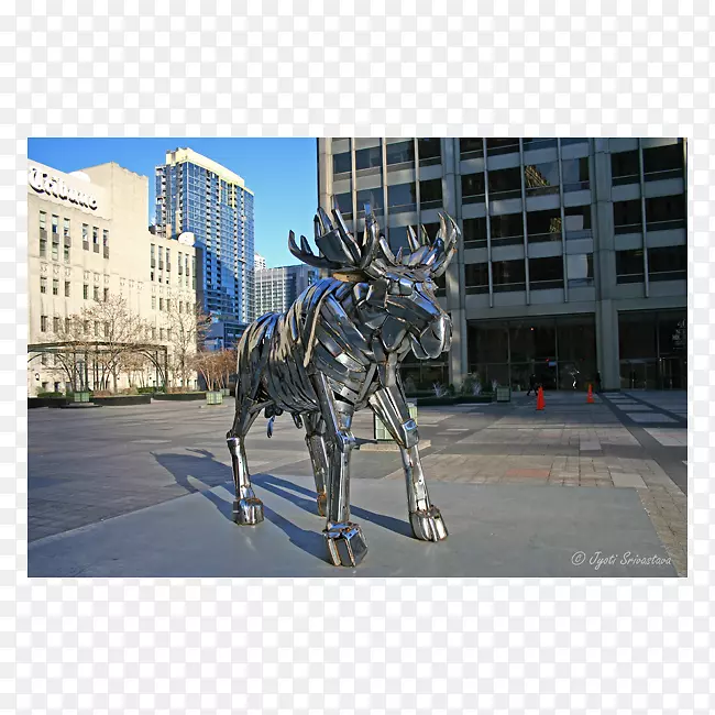 �ȷ淨ͥ����-��������-������