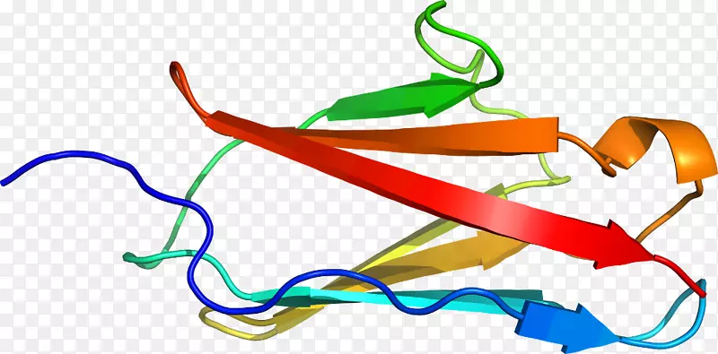 �ߵ������-��-������