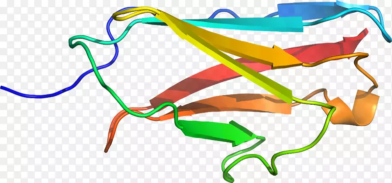 �ߵ������-��-������