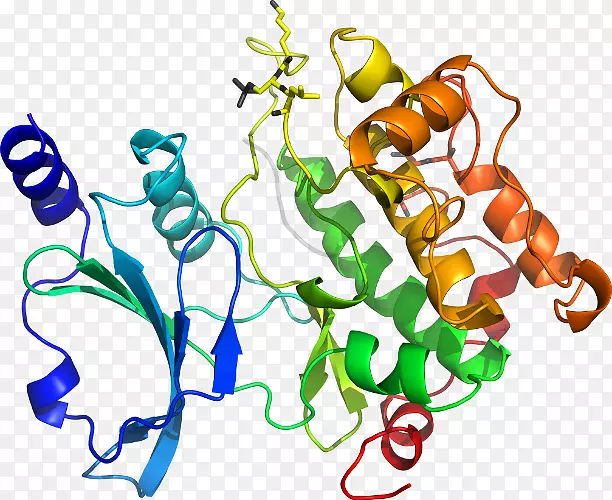 �����߶����������-������