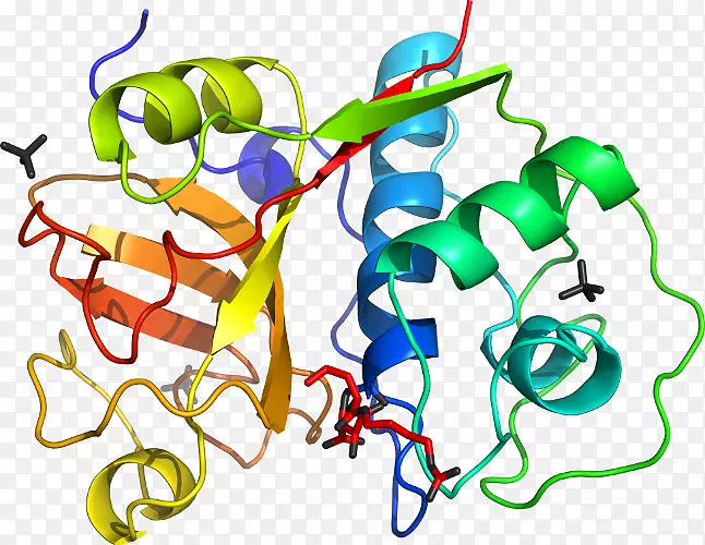 �ߵ������������-������