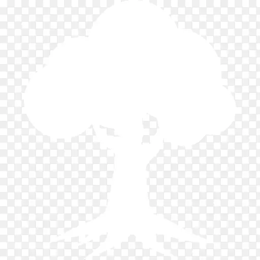 ī�����籩Ŧ��˹����ʿ����Ϥ�ᣬ�����У��Ĵ����ǣ����Ӻ����ּӺ�ӥ-�Ĵ�����-������