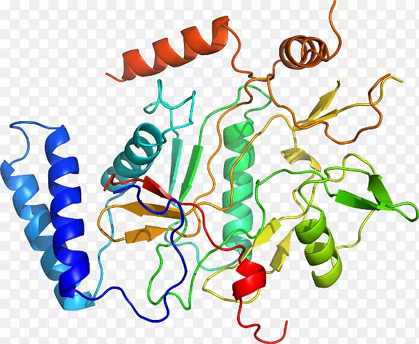 �����߶����������-������