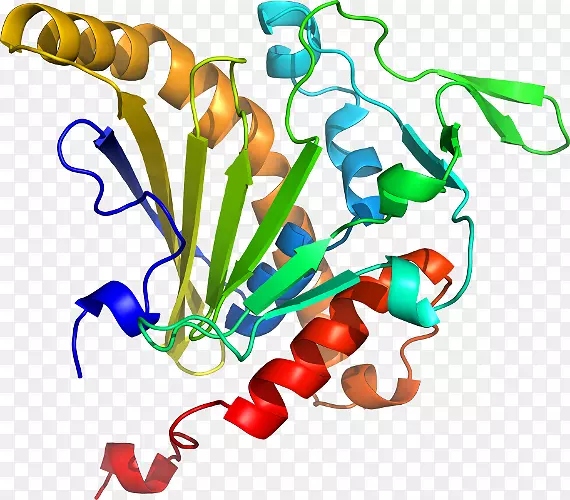 ֱ�ߵ�ֲ�ﾥ��������-������