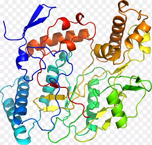 ���������л����߼�������-������