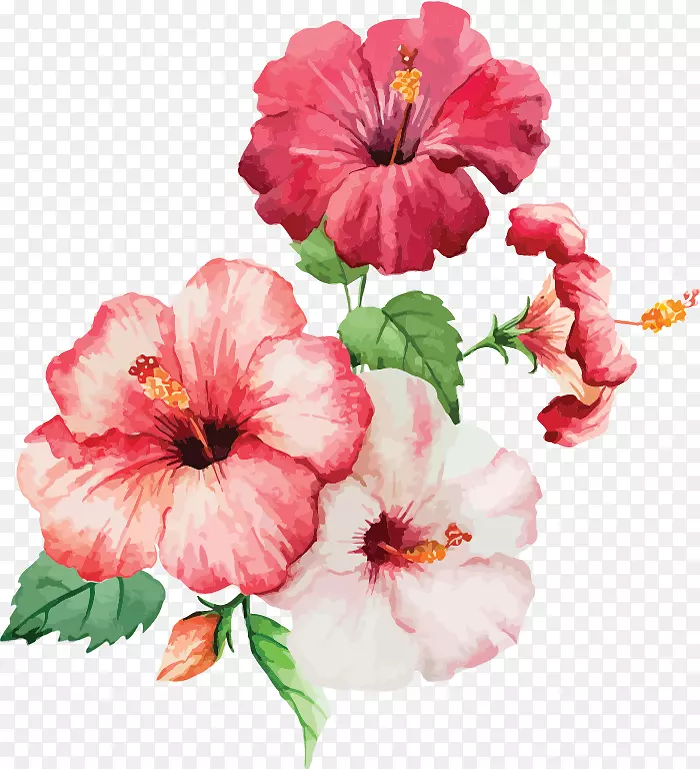 ˮ�ʻ�������ˮ�ʻ�-���ǵ�ʹ��-������