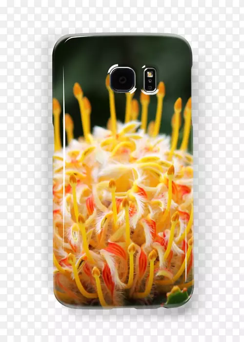 ����-����-������