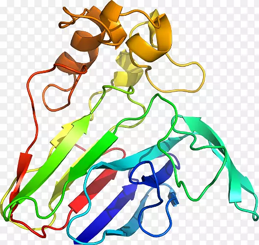 ���߼�����-��-������