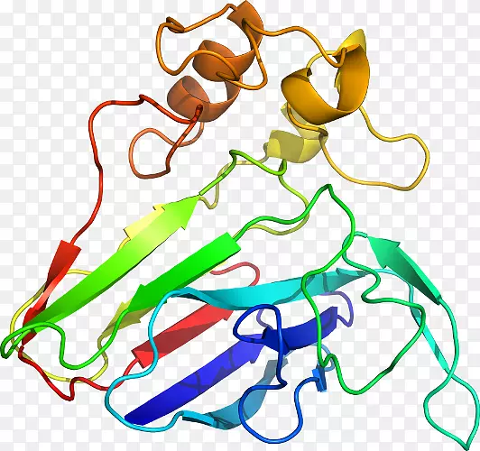 ���������л����߼�������-������