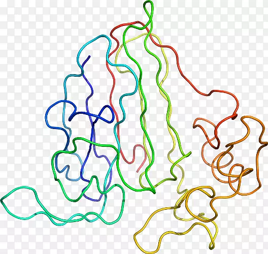 �ߵ�����������-������