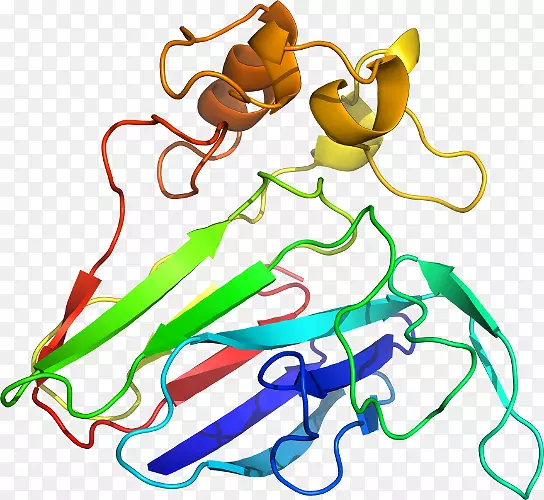 �ߵ������-��-������