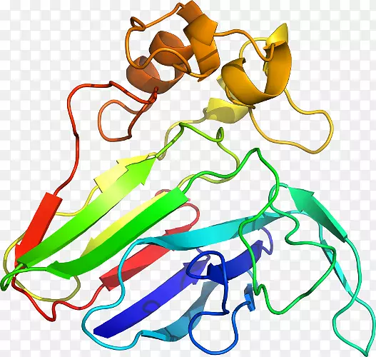 ʳƷ�����������߼�������-������