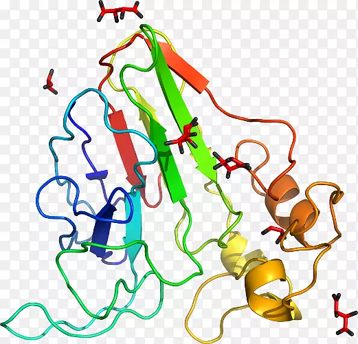 �ߵ�����������-������