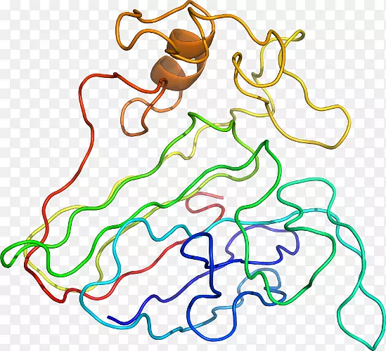 ���߼�����-��-������