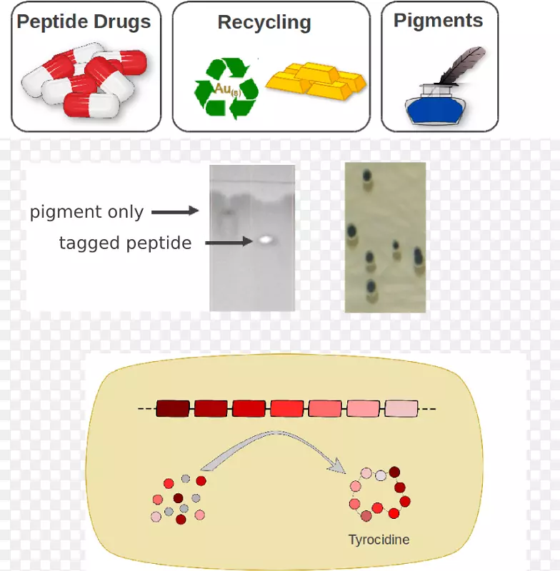 �����������-������