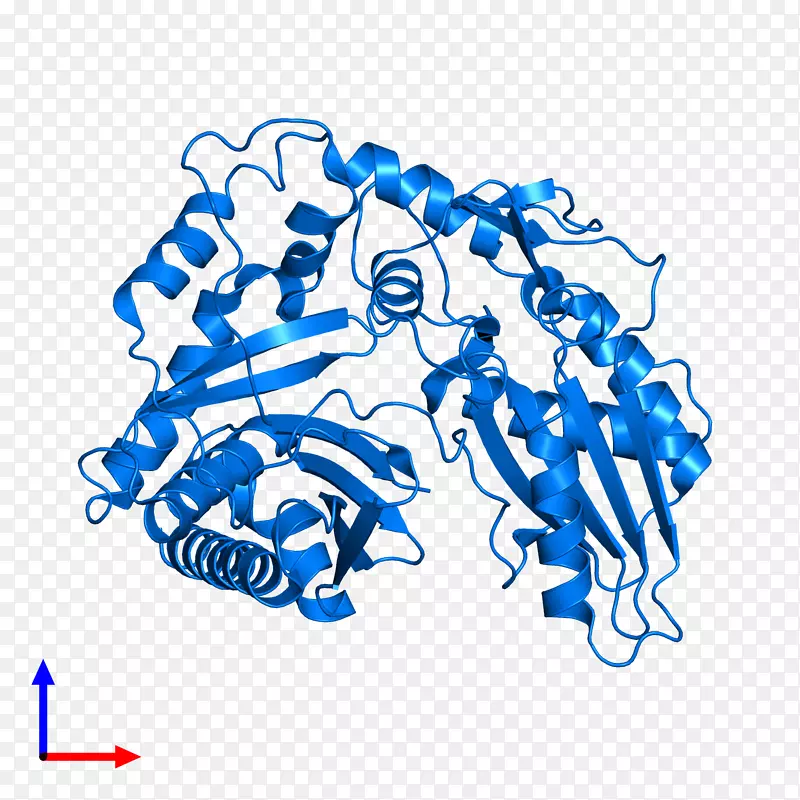 �ߵ������������-������