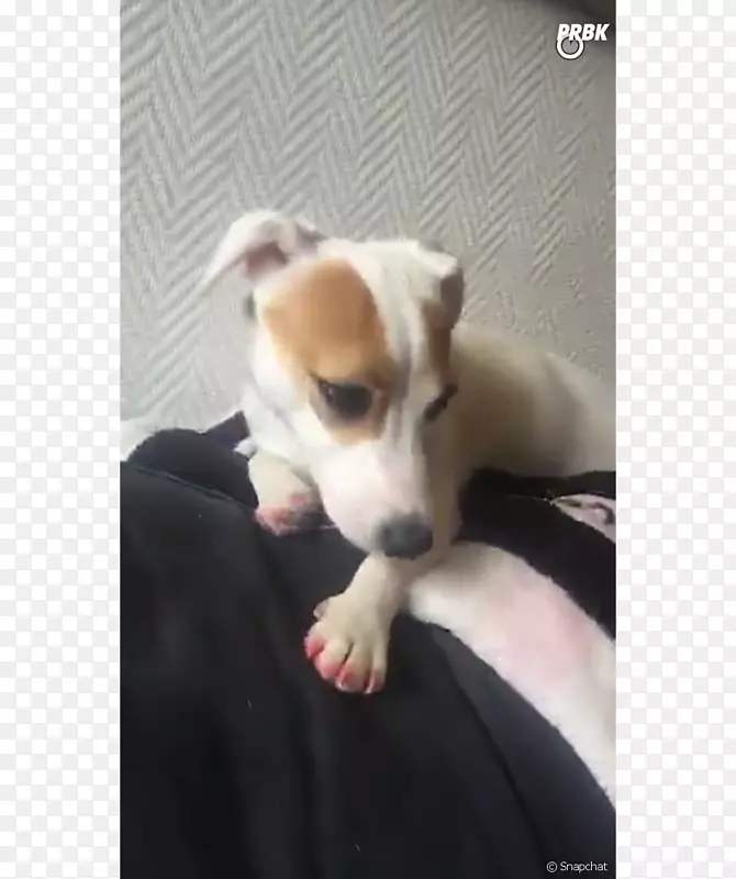 ����С������-С��-������