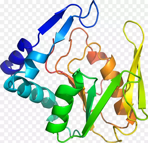 ���������л����߼�������-������