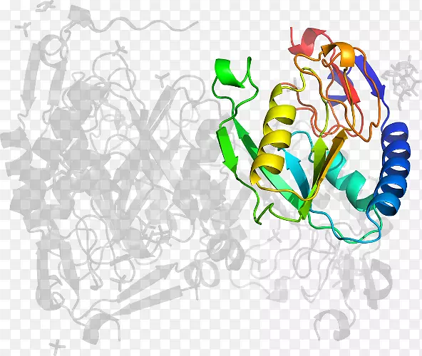 ƽ����Ƽ�����.���-������