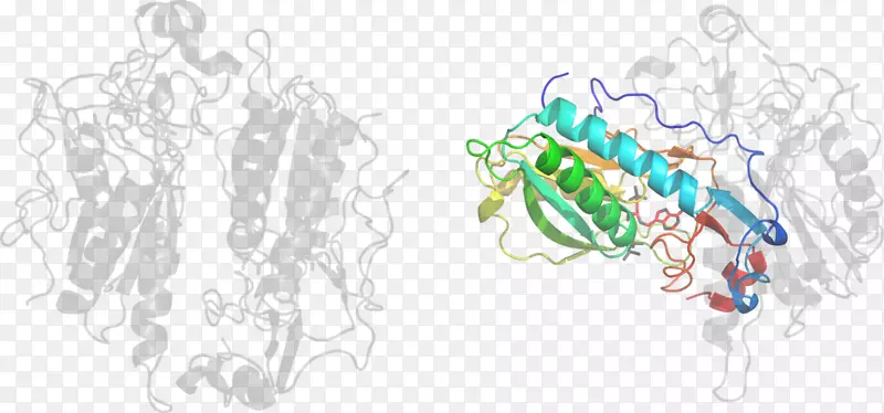 ƽ�����-���-������