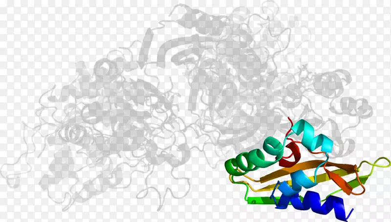 �����ֽ����������-������