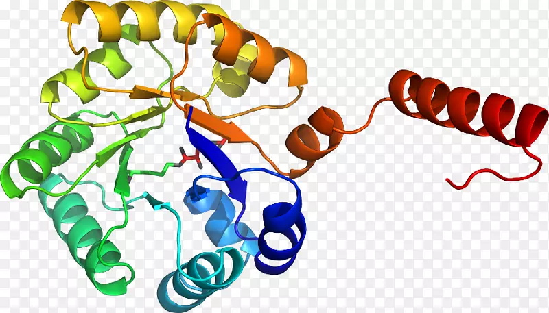 ���������л����߼�������-������