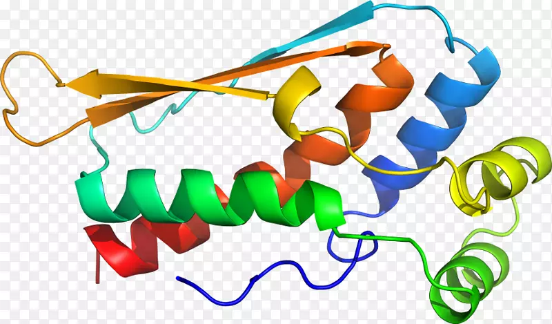 �ߵ������������-������