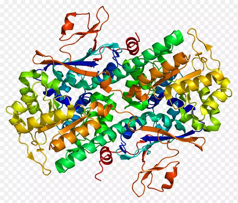 �����鱦���л����������-������