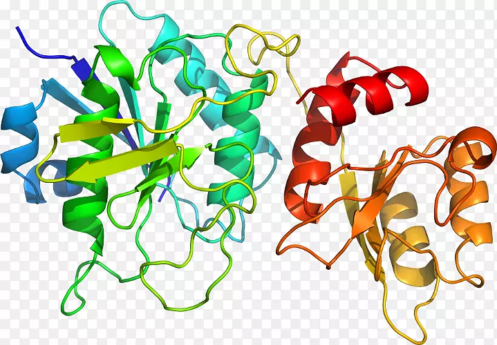 �����߶����������-������