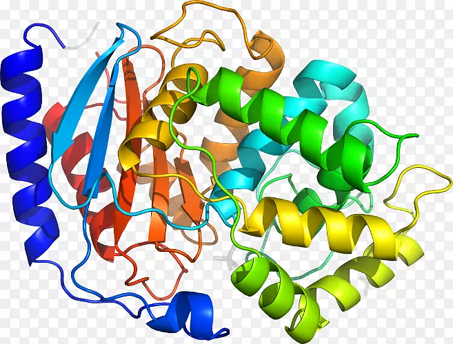 �����߶����������-������