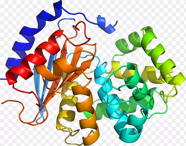 �����߶����������-������