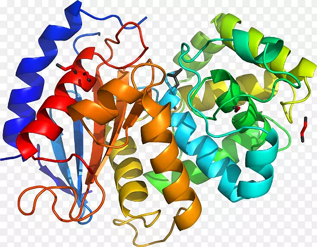 �����߶����������-������