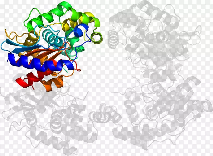 ���߼�����-��-������