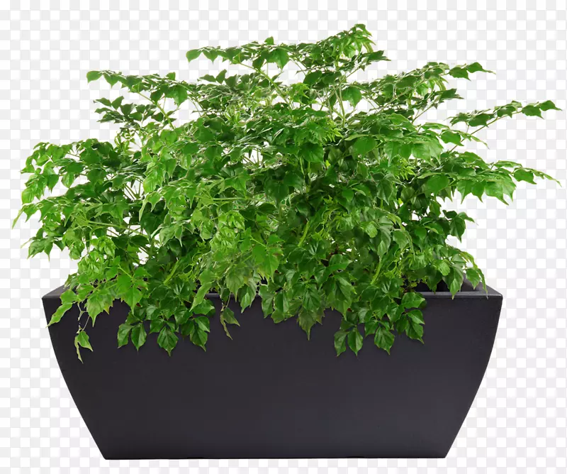 ��Ӱ��˰-���-������