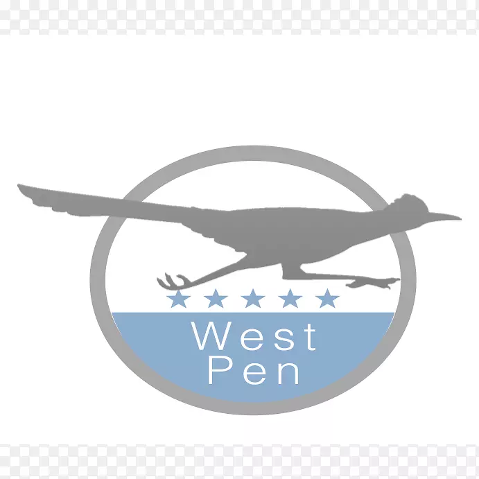 �̱��������-������