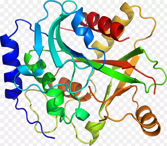 ���������л����߼�������-������