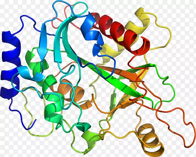 ���������л����߼�������-������