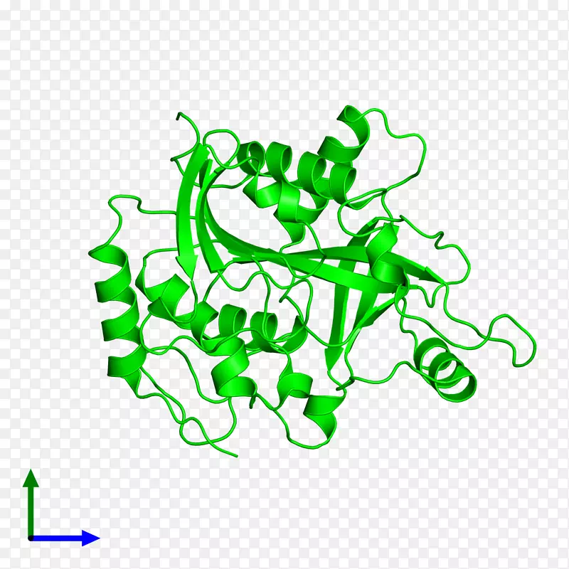 ��ɫƽ���������������-������