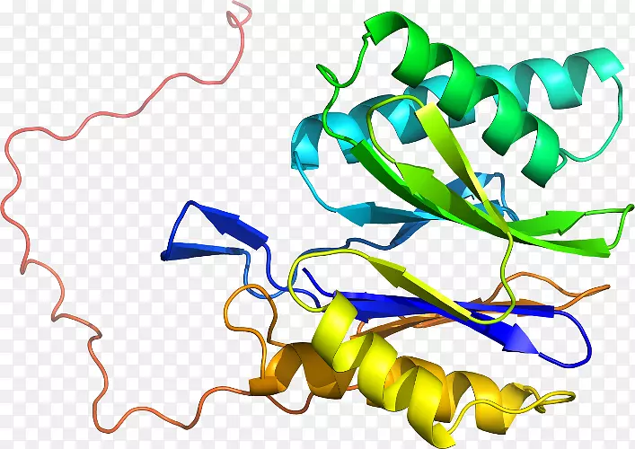 �ߵ������������-������