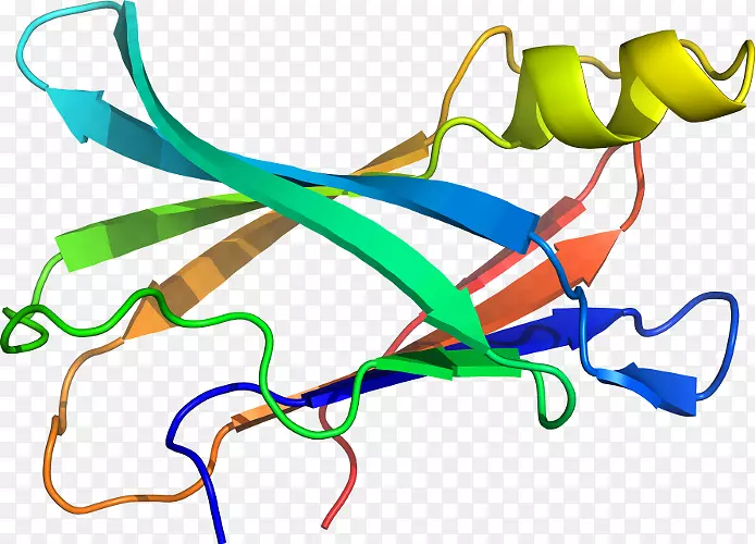 �ߵ������-��-������