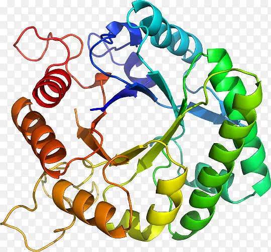 �����鱦������Ϊ�������鱦����-������