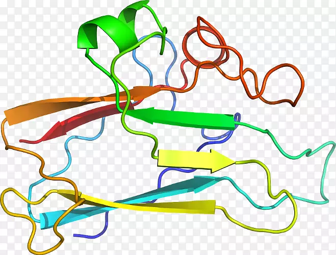 �ߵ������������-������