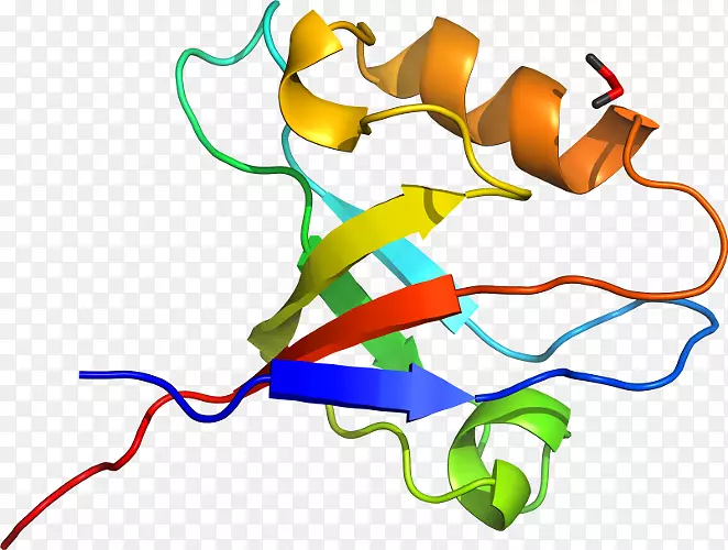 �ߵ������-��-������