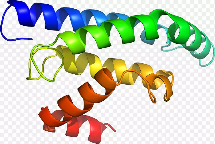 �����߶����������-������