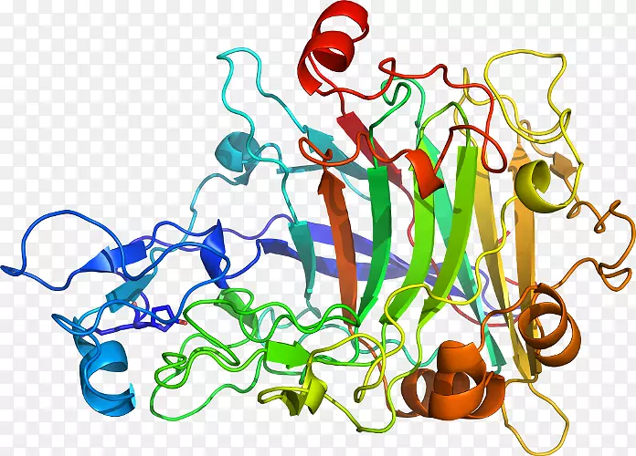 �ߵ������������-������